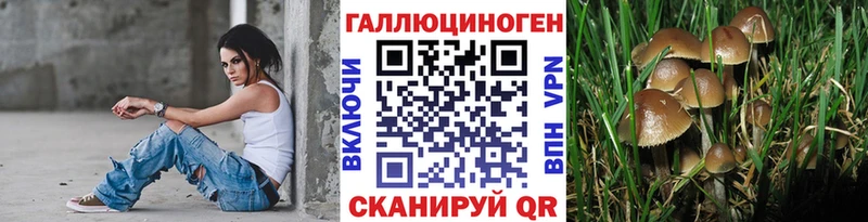 Псилоцибиновые грибы мицелий  omg как войти  Пестово  где купить наркотик 