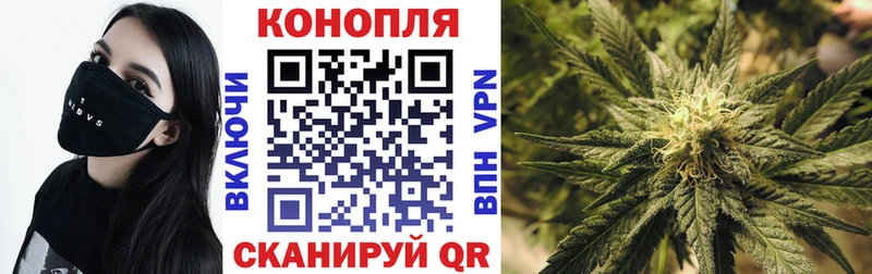 МЕГА онион  Пестово  Шишки марихуана Ganja  закладки 